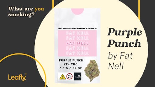 purple punch by fat nell housing works nyc cannabis leafly