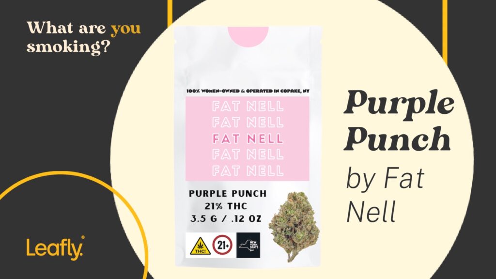 purple punch by fat nell housing works nyc cannabis leafly