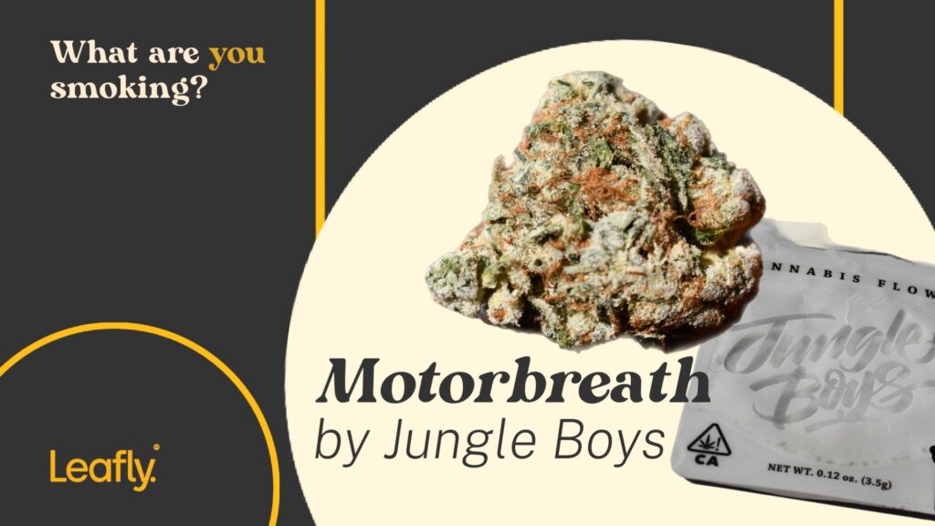 Motorbreath by Jungle Boys illicit nyc nug shot and package