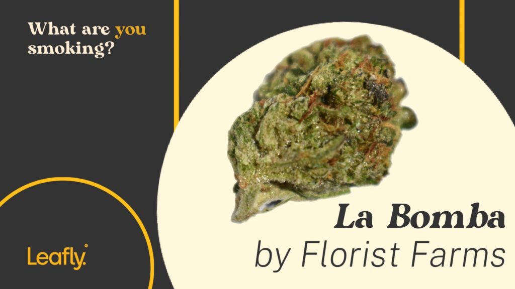 la bombo strain nyc housing works by florist farms