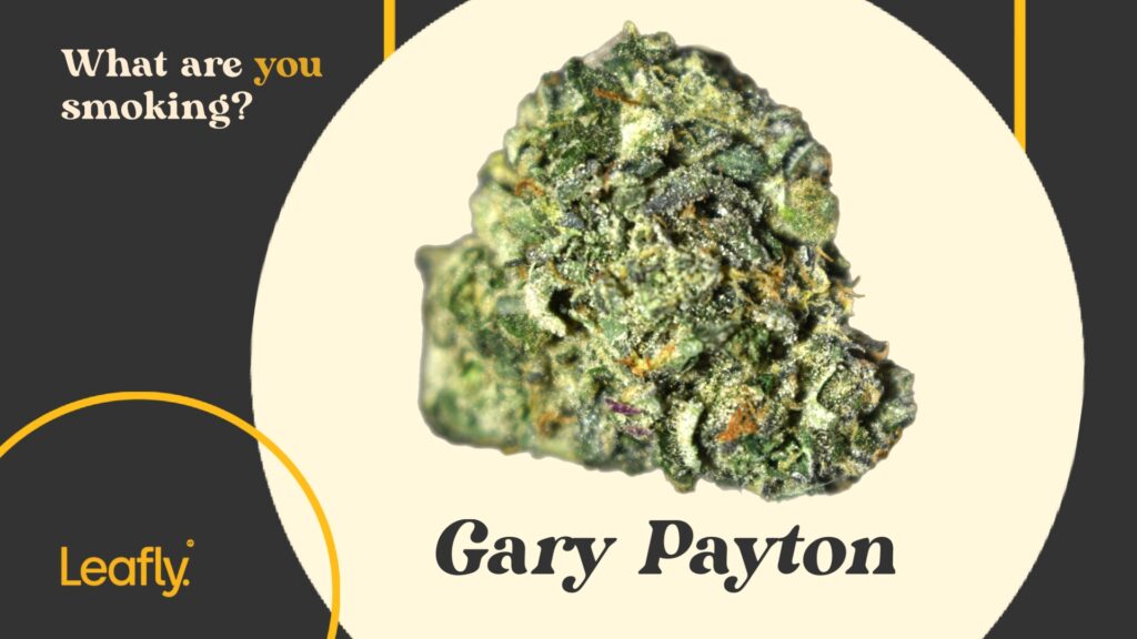 Gary Payton from NYC's unlicensed market.