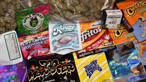 NYC bud crawl and illicit market haul