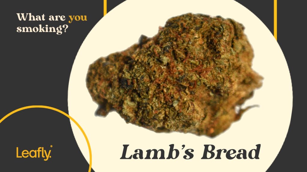 Lambs Bread from NYC's legacy market.