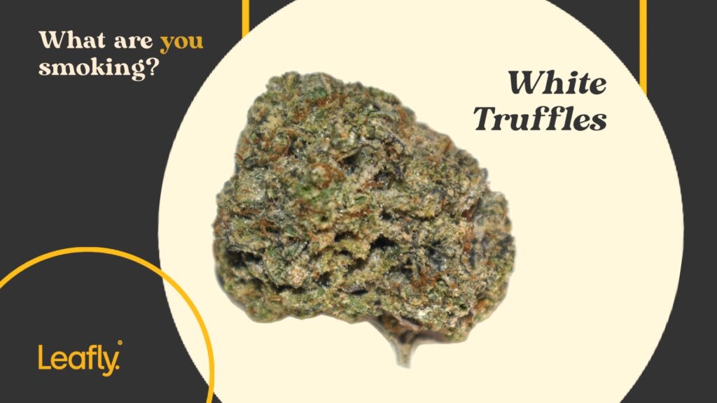 White Truffles nug shot illicit nyc strains