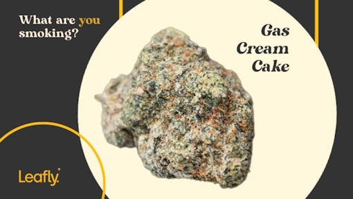 Gas Cream Cake strain photo