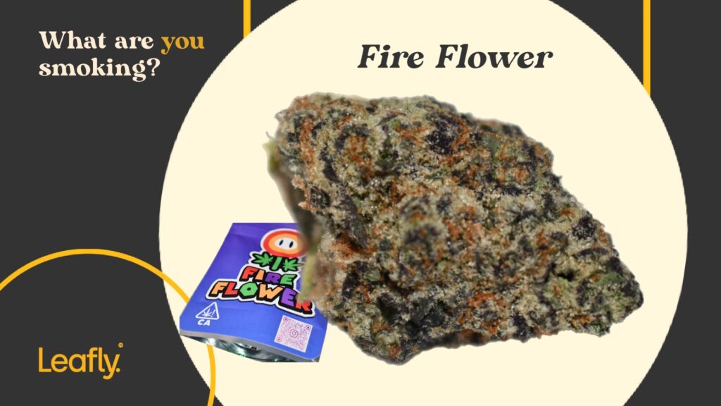 Fire Flower bag and nug shot
