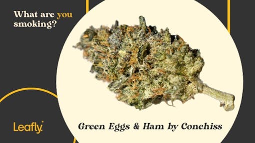 Green Eggs & Ham grown by Conchiss.