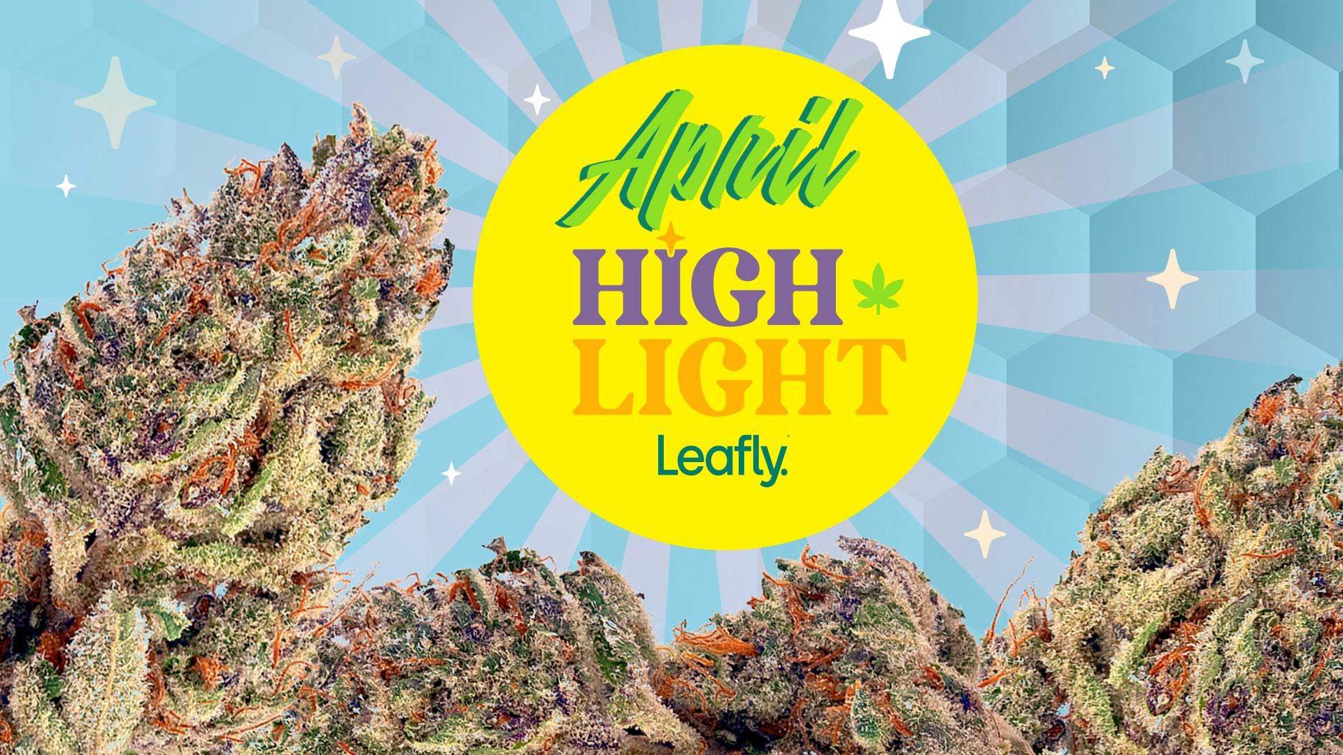 April 2023 Leafly HighLight Tropicana Cookies strain Leafly