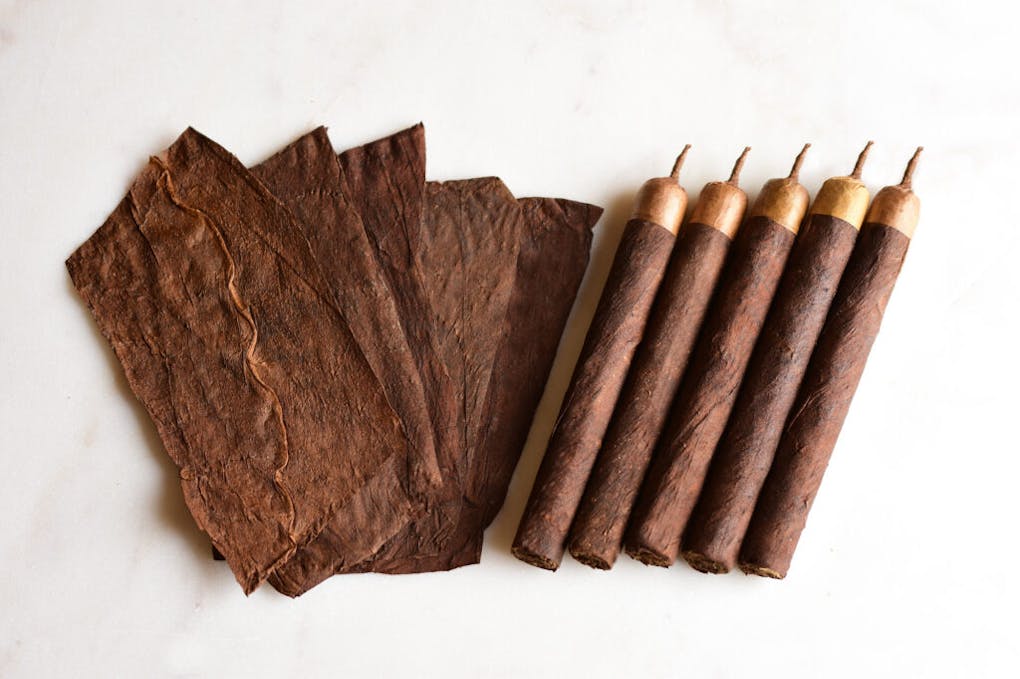 World's best weed gear for 420 2023 Leafly