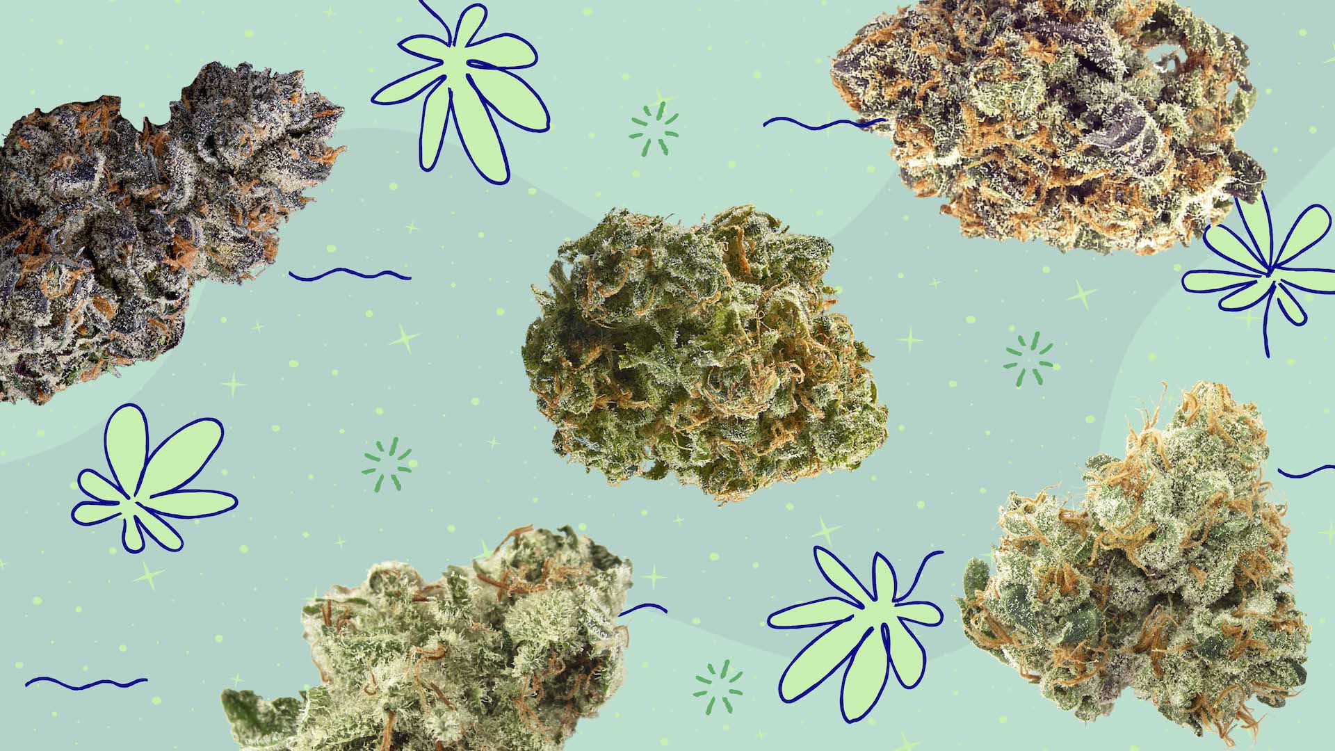 America’s best weed strains of 420 ’23 Leafly