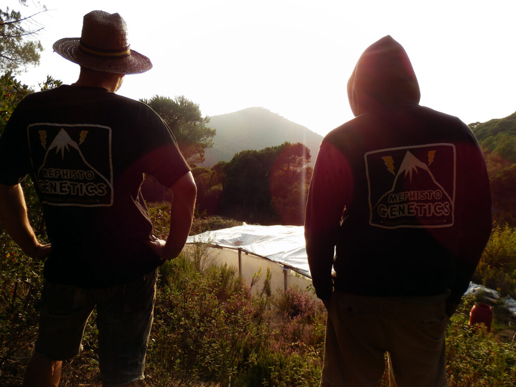 two men seen from behind standing outside