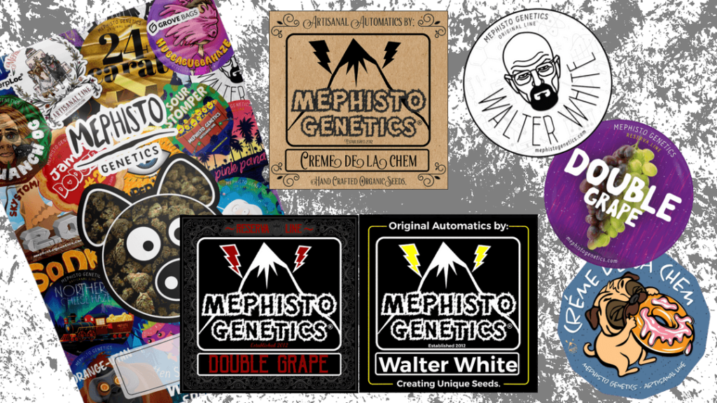 Seed packets by Mephisto Genetics