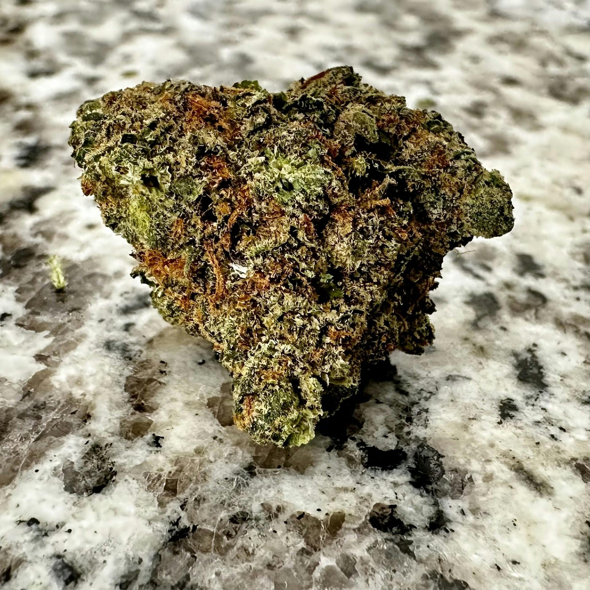 Ice Cream Cake—The Forest, Missouri, summer 2023 image