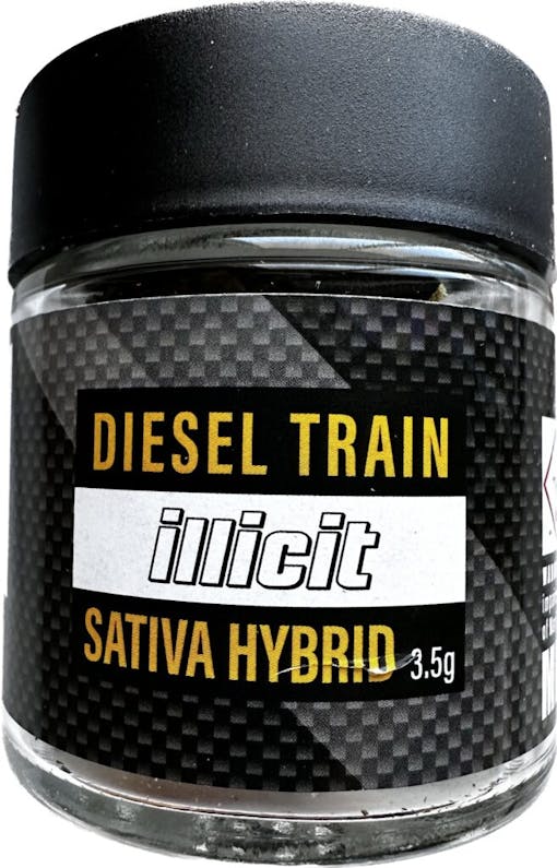 Diesel Train, sativa hybrid, Illicit Gardens, 2023. (David Downs/Leafly)