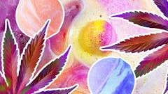 OM Love Balm, Proof face serum, luxury bath salts and more. (Leafly)