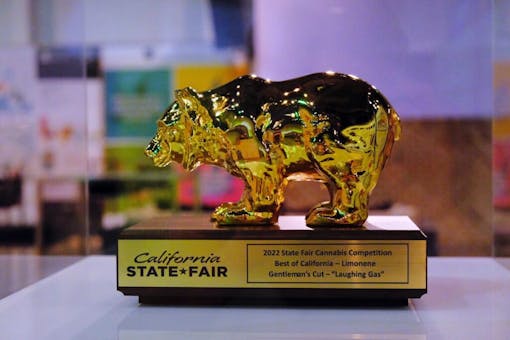 Get to the golden bear trophy. (Photo by Justin Abrahams, courtesy of CA Cannabis State Faire)