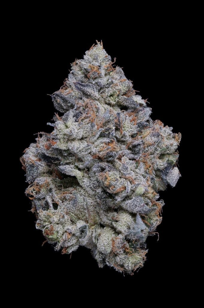 (Foto von Demetrius Daniels, mit freundlicher Genehmigung von Fig Farms)