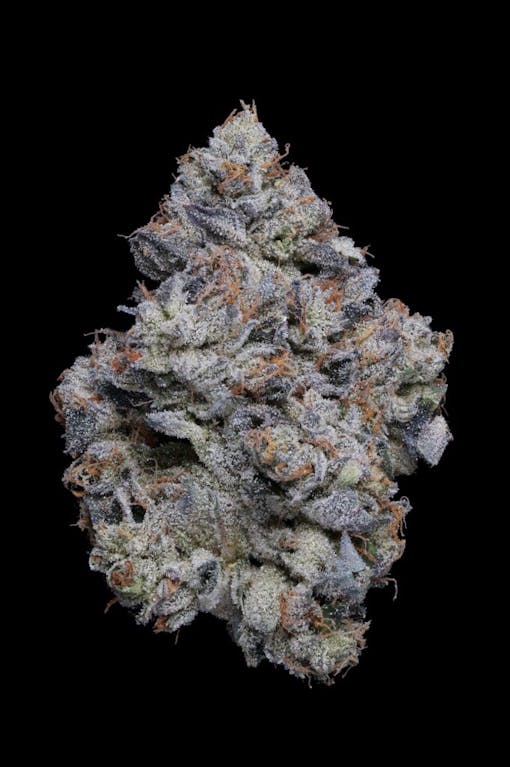 (Foto von Demetrius Daniels, mit freundlicher Genehmigung von Fig Farms)