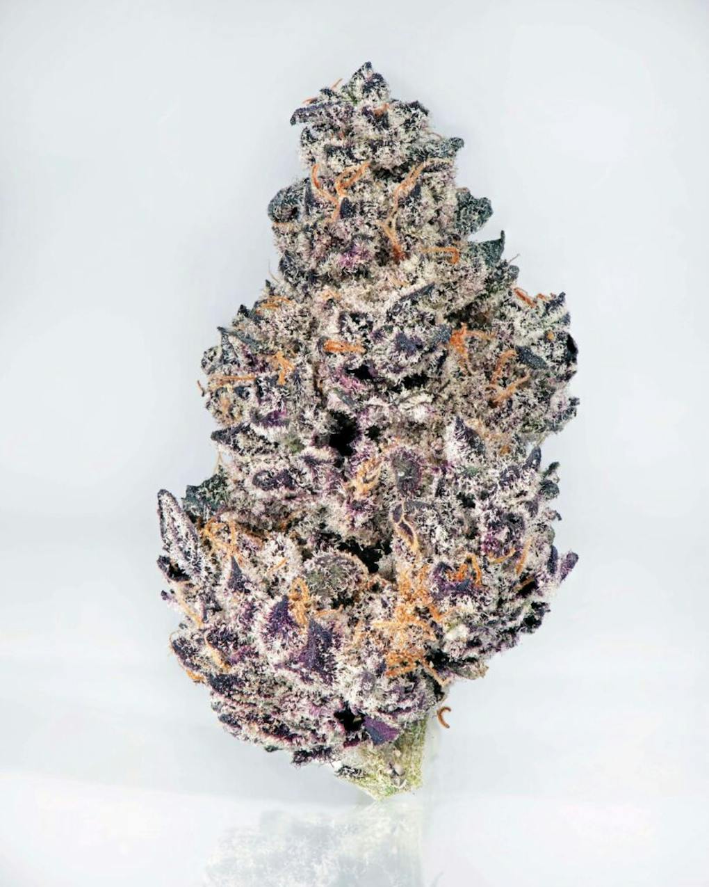 Leafly Buzz 13 top weed strains of May 2023 Leafly