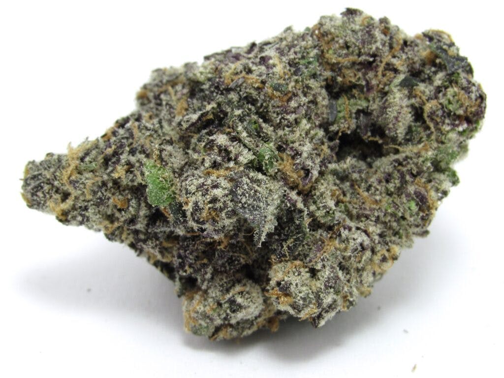 Du hast deine Krone fallen lassen, Königin. Londoner Pfundkuchen. Angebaut von Lyfted Farms, Modesto, Kalifornien. Indica-Hybride. (David Downs/Leafly)