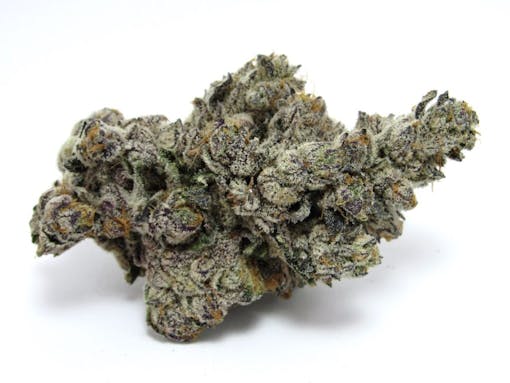 Sense Money Maker. (David Downs/Leafly)