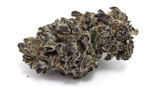 Pretty in Pink Certz by Wave Rider Nursery. (David Downs/Leafly)