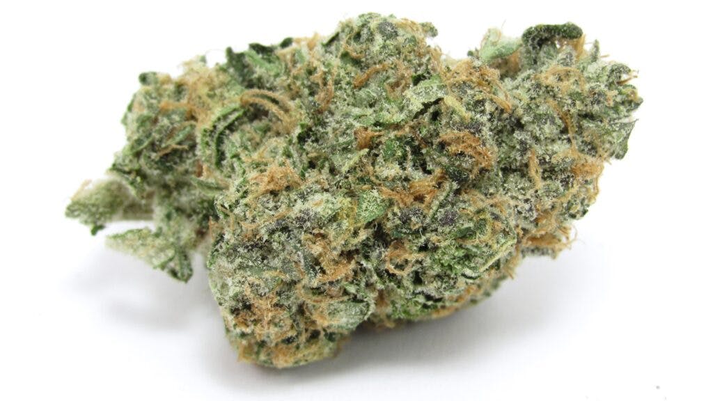 Helium von Doja Pak hat Auftrieb. (David Downs/Leafly)