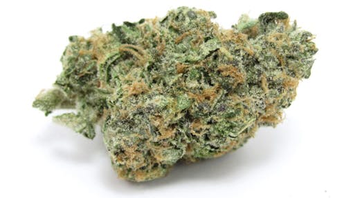 Helium by Doja Pak has lift. (David Downs/Leafly)