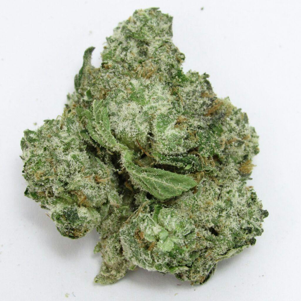 Zatix Blue Guava debütiert. (David Downs/Leafly)