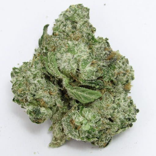 Zatix Blue Guava debuts. (David Downs/Leafly)