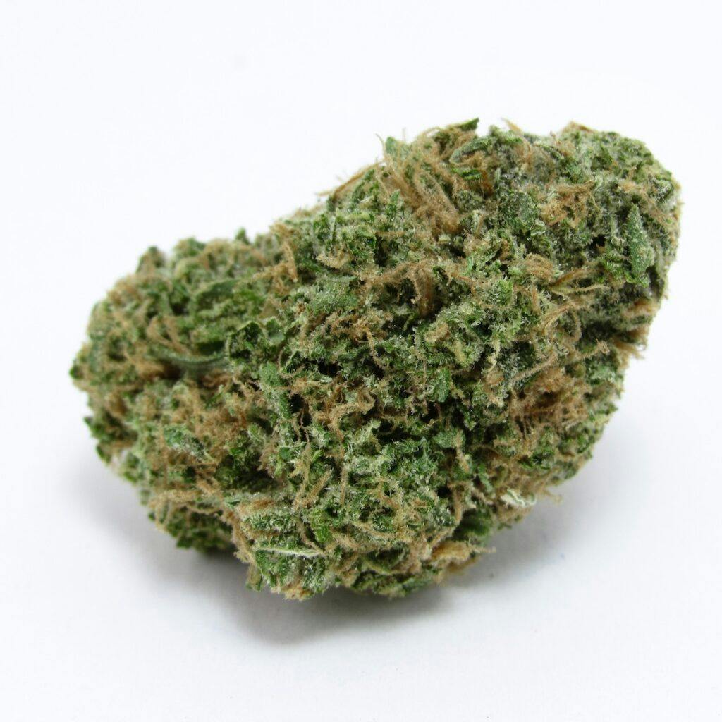 Exemplary Z. Grown indoors in live soil by MOCA Humboldt, CA. Hybrid. (David Downs/Leafly)