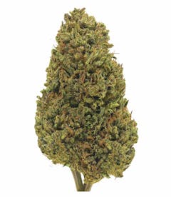 trimmed nug on white background