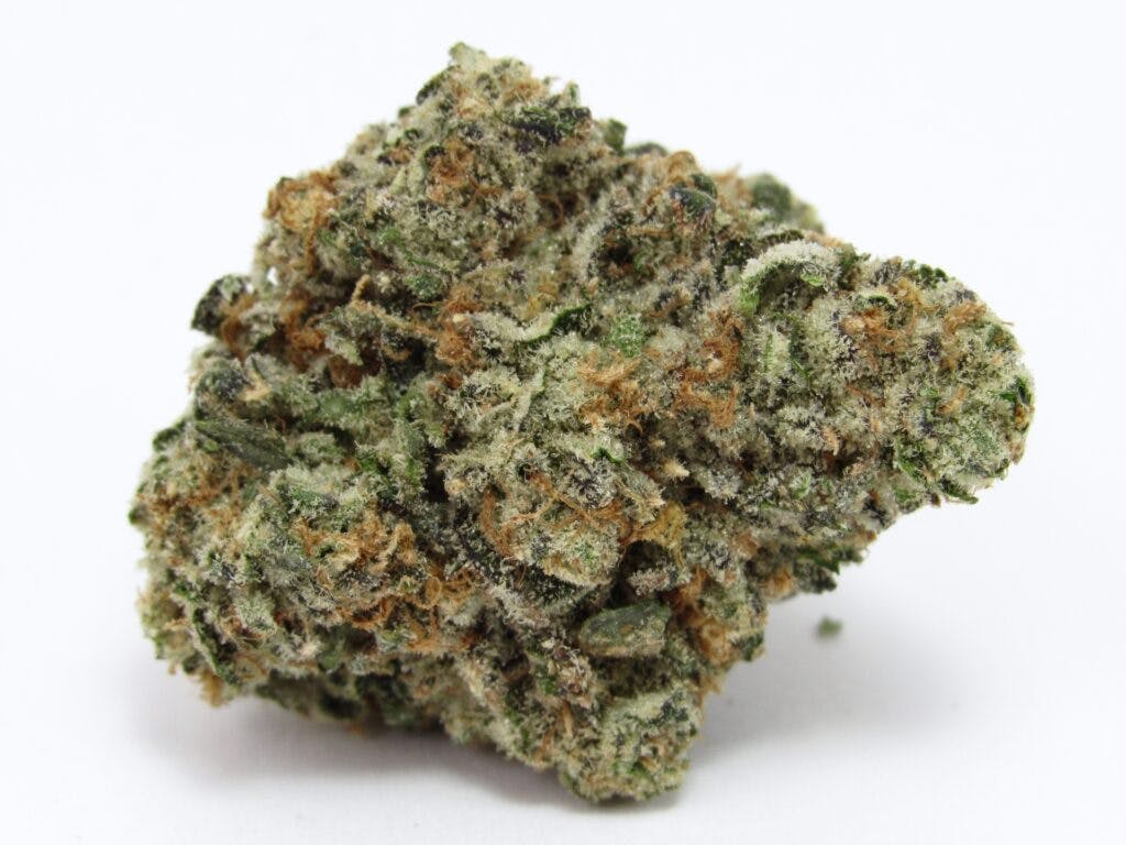 CAM Georgia Pie x Z (David Downs/Leafly)