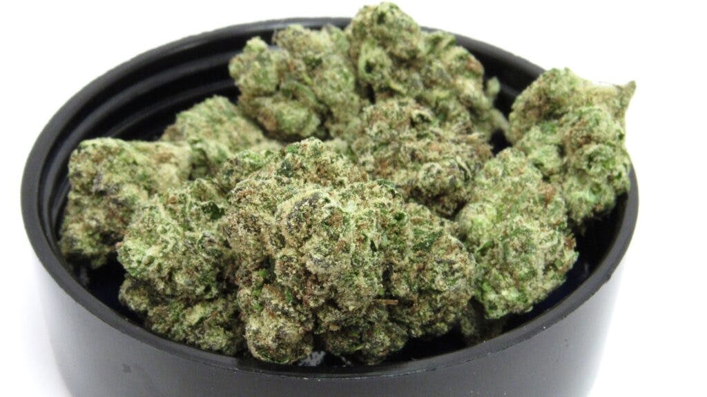 Loud Trees' Raspberries and Cream. Hybrid. (David Downs/Leafly)