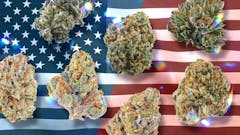 Summer unofficially begins with Leafly’s Memorial Day guide to fire strains, carts, edibles, gear, and more. (Josh Titus/Leafly)