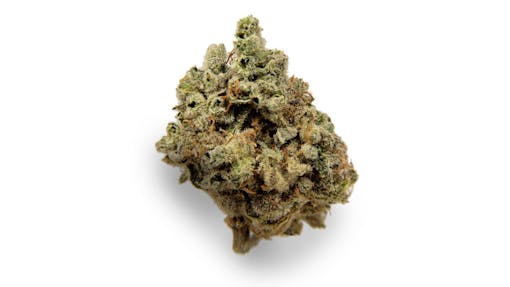 Lemon Shiv by Shango. (Photo by Cannabis Cactus, licensed to Leafly)