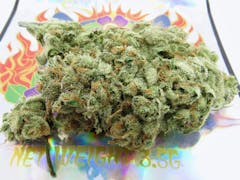 Super Silver Haze grown by Flora and Flame. (David Downs/Leafly)