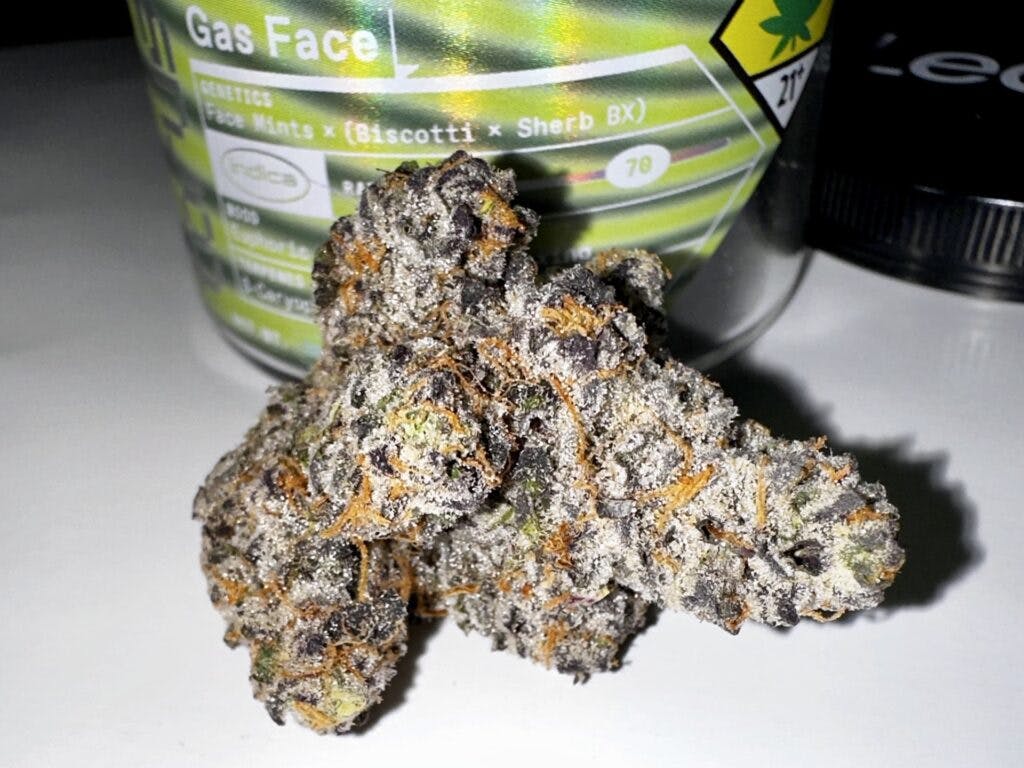 Torus Gas Face. Hybrid sativa. (David Downs/Leafly)