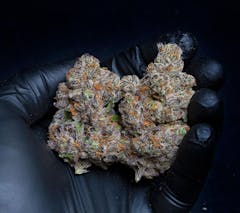 Cannabis stars, born weekly. Leafly Strain News Weekly. Above, Compound Genetics’ Double Up.