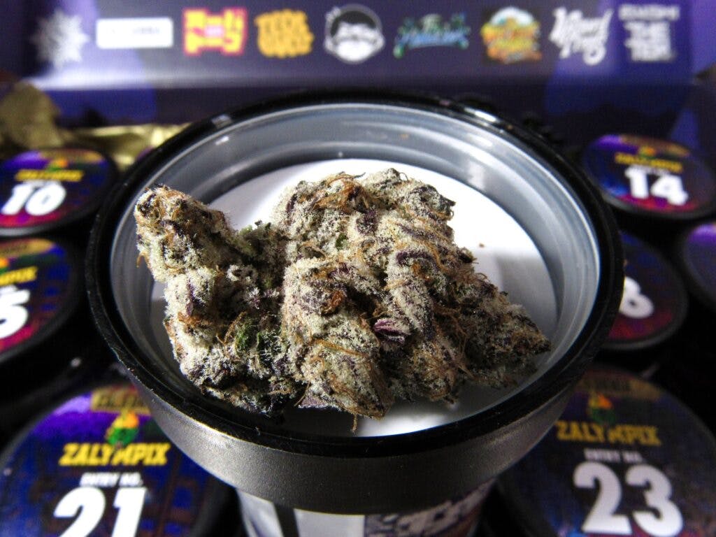 The Zalympix California 2023 box. (David Downs/Leafly)