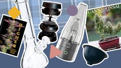 Automatic joint rollers, bonsai weed plant books, and 9 more options for the pot plant daddy in your life. (Leafly)