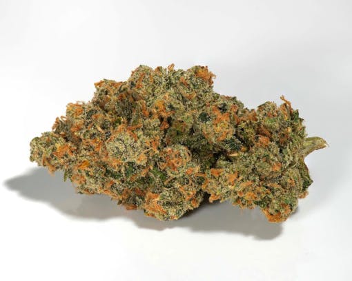 Does Oregon have good Jack? You bet. Jack Herer from Midnight Fruit Co, Oregon. (Ryan Herron/Leafly)