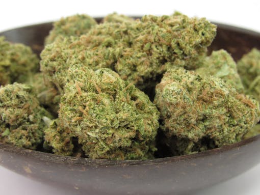 (David Downs/Leafly)