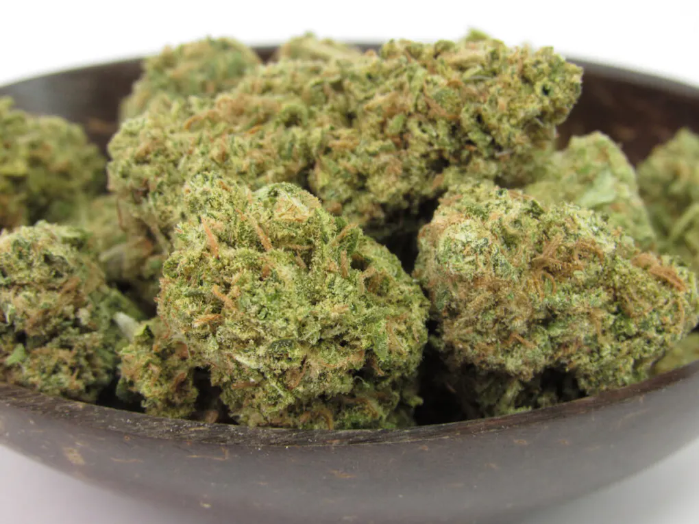 12 best cannabis strains of harvest 2024 | Leafly