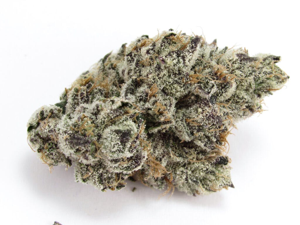 Lemon Cherry Gelato. Grown by Fig Farms, CA. Hybrid indica. (David Downs/Leafly)