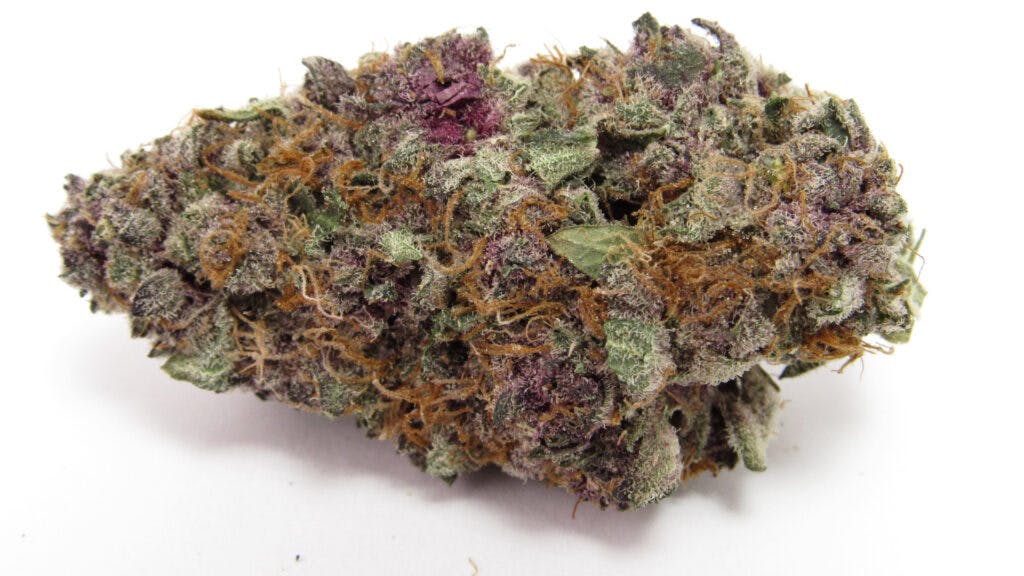 Tropicanna-Kirsche. Angebaut von Tradecraft, Kalifornien. Hybrid. (David Downs/Leafly)