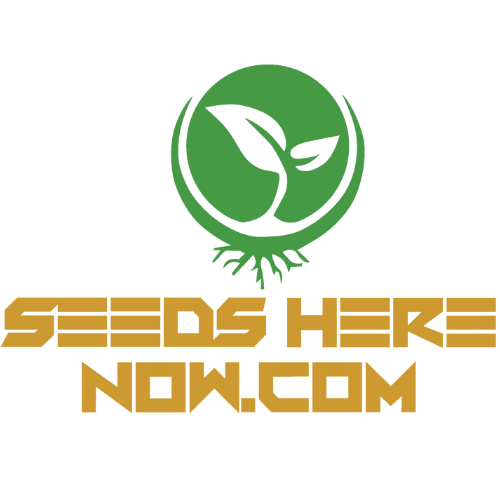 beste Cannabis-Saatgutunternehmen