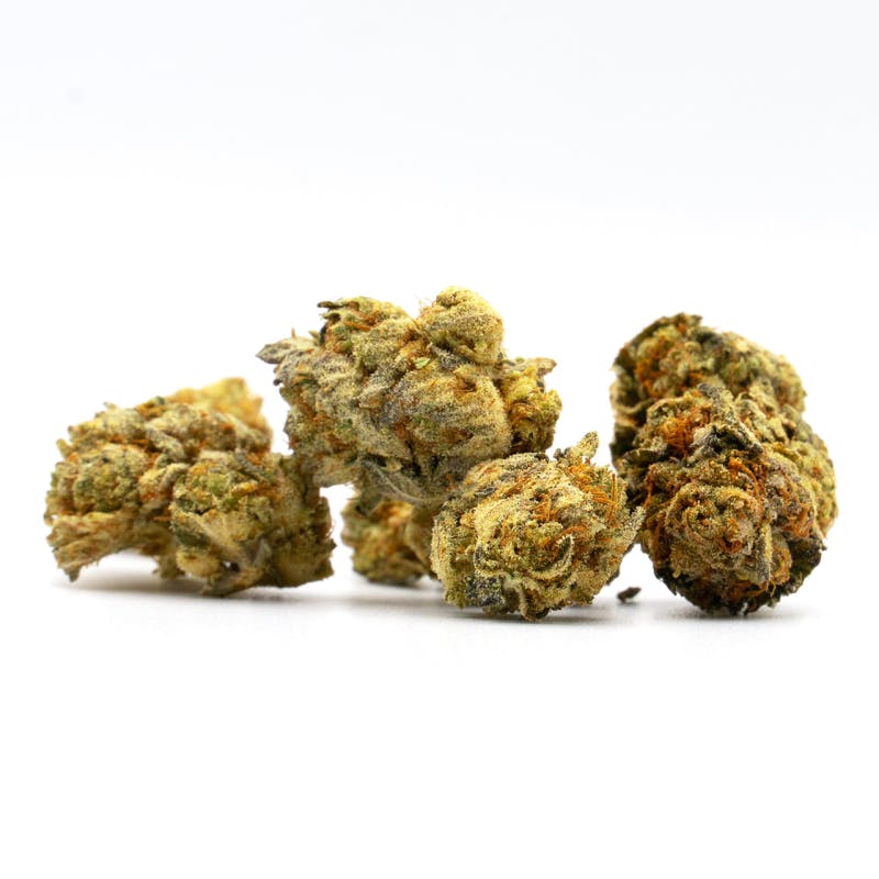 The best cannabis seed companies 2023 Bud Billions Your Gateway to