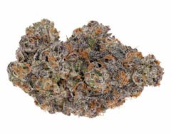 close up of curved marijuana nug in shades of green and mottled purple with long orange hairs