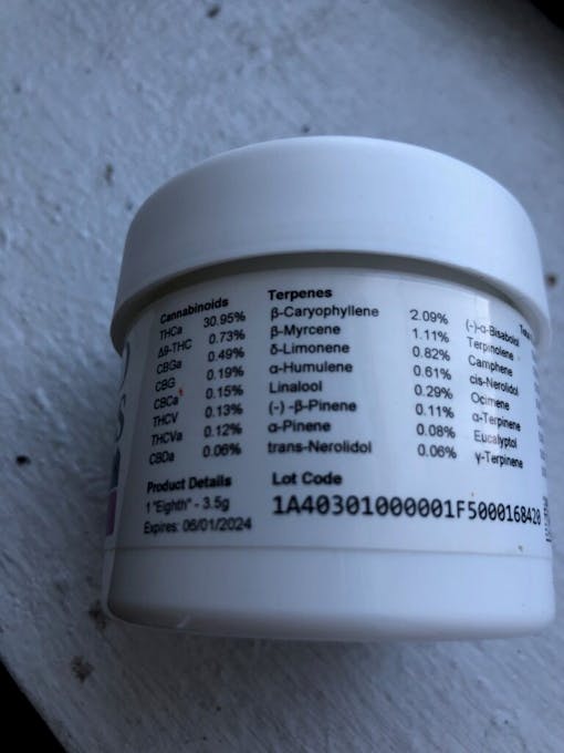 SunMed brought their A-game to Snoop Dogg OG. (Amelia Williams)